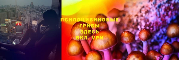 соль курить ск Зеленокумск
