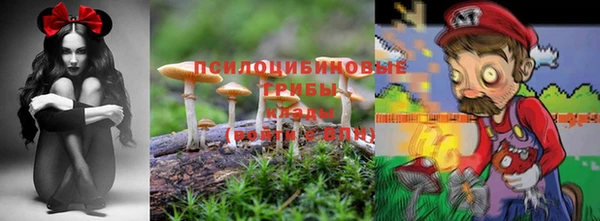 мяу мяу мука Балабаново